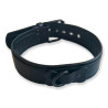 Brutus Collier Puppy Collar Noir